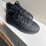 Black Puma Image 2