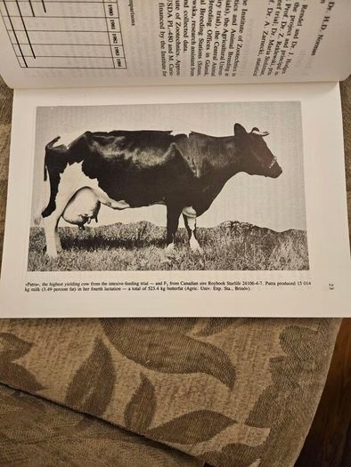 The International Friesian Strain Comparison Trial. A World Perspective.  By H.a. Jasiorowski. M. Stolzman. Z. Reklewski. First Edition Paperback In Good Condition.