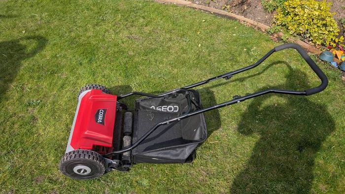 Rotary lawnmower