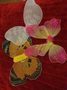 butterfly wings