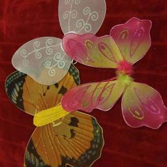 butterfly wings