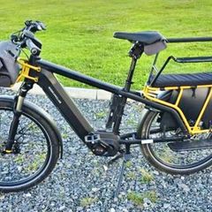 Riese & Muller Multicharger 2 Vario | Bosch Cargo E-Bike | Family Setup