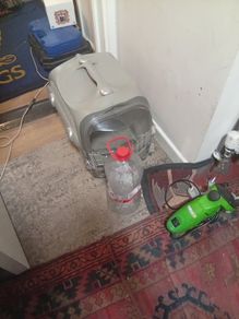 cat and small dog carrier