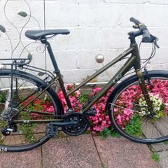 ladies hybrid