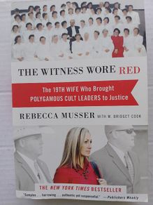 The Witness Wore Red