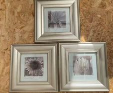 Pictures for sale