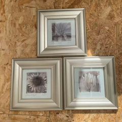Pictures for sale