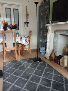 Free Tall lamp and black/grey floor rug