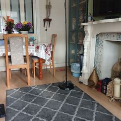 Free Tall lamp and black/grey floor rug