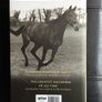 ARKLE - Ireland's Greatest Horse Ever. Image 2