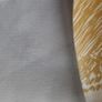 New PVC  table cloth Image 3
