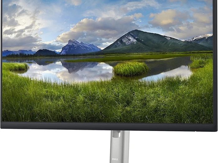 Dell 24" P2422H Full HD (1080p) Ratio 16:9 1920 x 1080 16.7 Million Colours - LED-Backlit Monitor - 24" - USB 3.2 Hub, HDMI, VGA, DisplayPort - Colour: Black & Silver