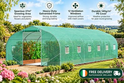 Large Walk-In Tunnel Greenhouse 30 x 10 ft Heavy Duty Polytunnel
