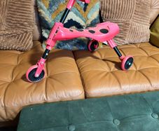 ladybug tricycle