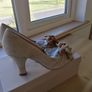 Women's Shoe's Reduced New In Box Size 7eur 40 Image 7