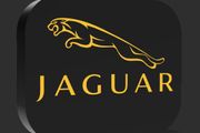 Jaguar Lightbox