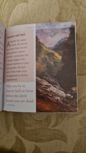 Pocket Irish With And Wisdom. Hardback In Very Good Condition.