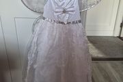 Fairy dress &amp; wings