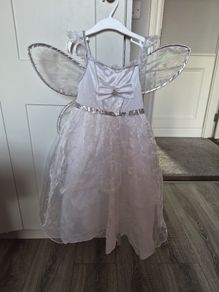 Fairy dress & wings
