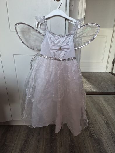 Fairy dress & wings