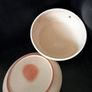 Vintage French Cheese Dome Image 7