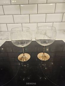 Gin Glasses x2