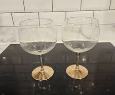 Gin Glasses x2