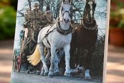 Horse Power by Marylian &amp; Sanders Watney
