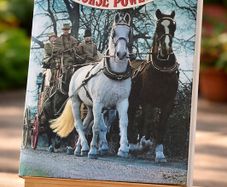 Horse Power by Marylian & Sanders Watney