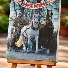 Horse Power by Marylian & Sanders Watney