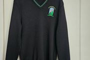Fingal Comunity College Scool jumper