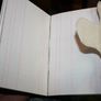 Antique Bank of Ireland Cash Book Image 2