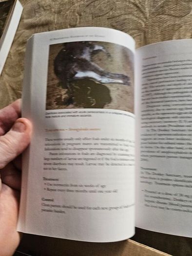 The Professional Handbook Of The Donkey. 4th Edition.  By Dr Elizabeth D. Svendsen. Edited By Professor James Duncan. In Good Condition.  See Photos For Same.
