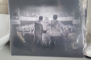 HamsandwicH the live album 2 vinyl limited edition
