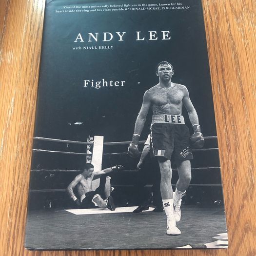 Andy Lee -Fighter