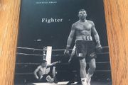 Andy Lee -Fighter