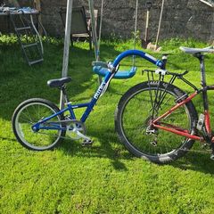Burley Kazoo tag along bike