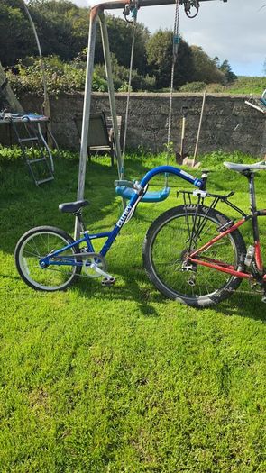 Burley Kazoo tag along bike