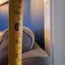 Sofa Image 5
