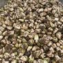 Fodder beet and sugar beet Image 2