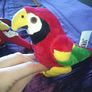 2 Parrots Image 2