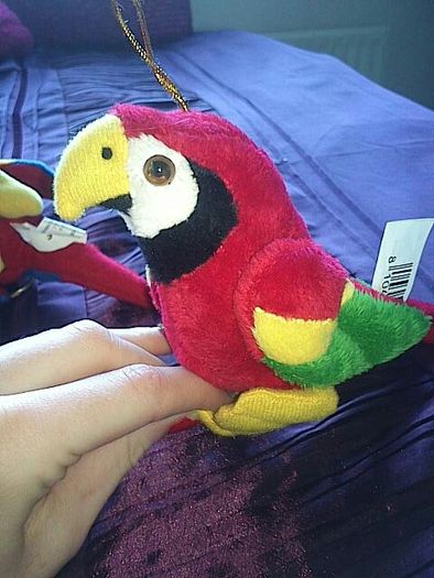 2 Parrots