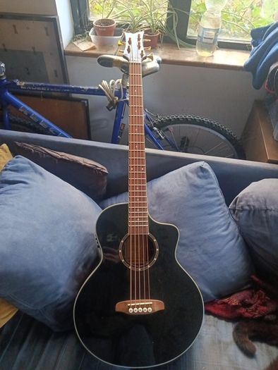 5 string acoustic