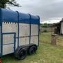sheep box Image 8