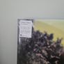 Steven Wilson insurgents 2 vinyl Image 2
