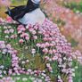 Puffin in the Sea Pinks | oil painting | framed Image 4