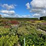 Trees and hedging Image 7