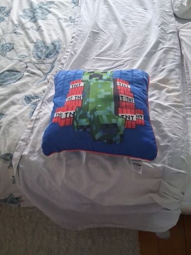 Minecraft cushion