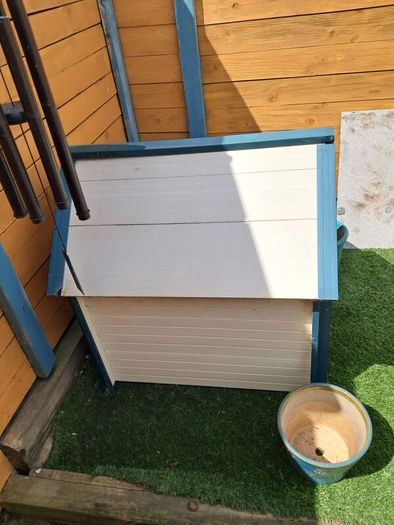 Large Dog Kennel