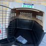 PetMate Ultra Fashion Vari Kennel IATA Airline Pet Carrier Medium 28 Inch Image 2